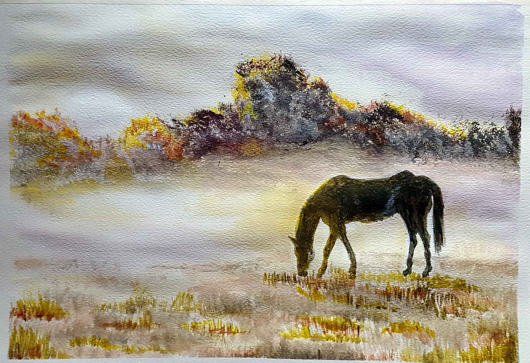 Acrylic painting of a dark horse grazing in a misty field at dawn, with golden-lit bushes behind it and tufts of dry grass in the foreground.