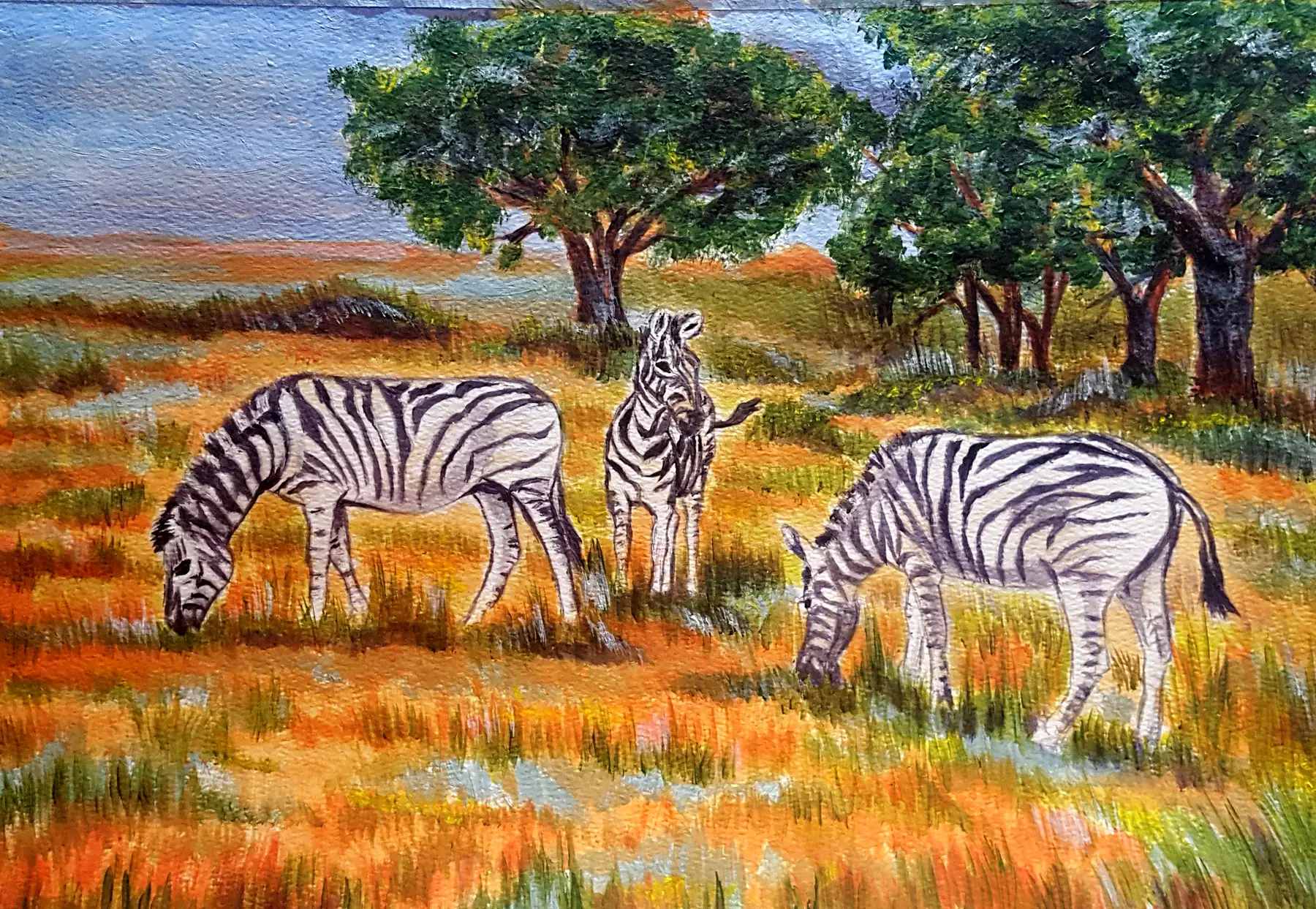 Acrylic painting of three zebras in orange and gold grassland, two grazing and one standing alert, with large green trees and a pale blue sky behind.