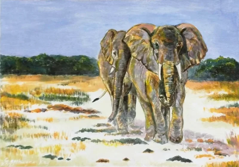 Acrylic painting of two elephants walking side by side towards the viewer across pale ground with tufts of golden grass, a line of green bush and a blue-grey sky behind them.